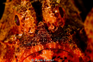 Nikon D50 -60mm lens- a shallow wreck in perth by Dave Baxter 